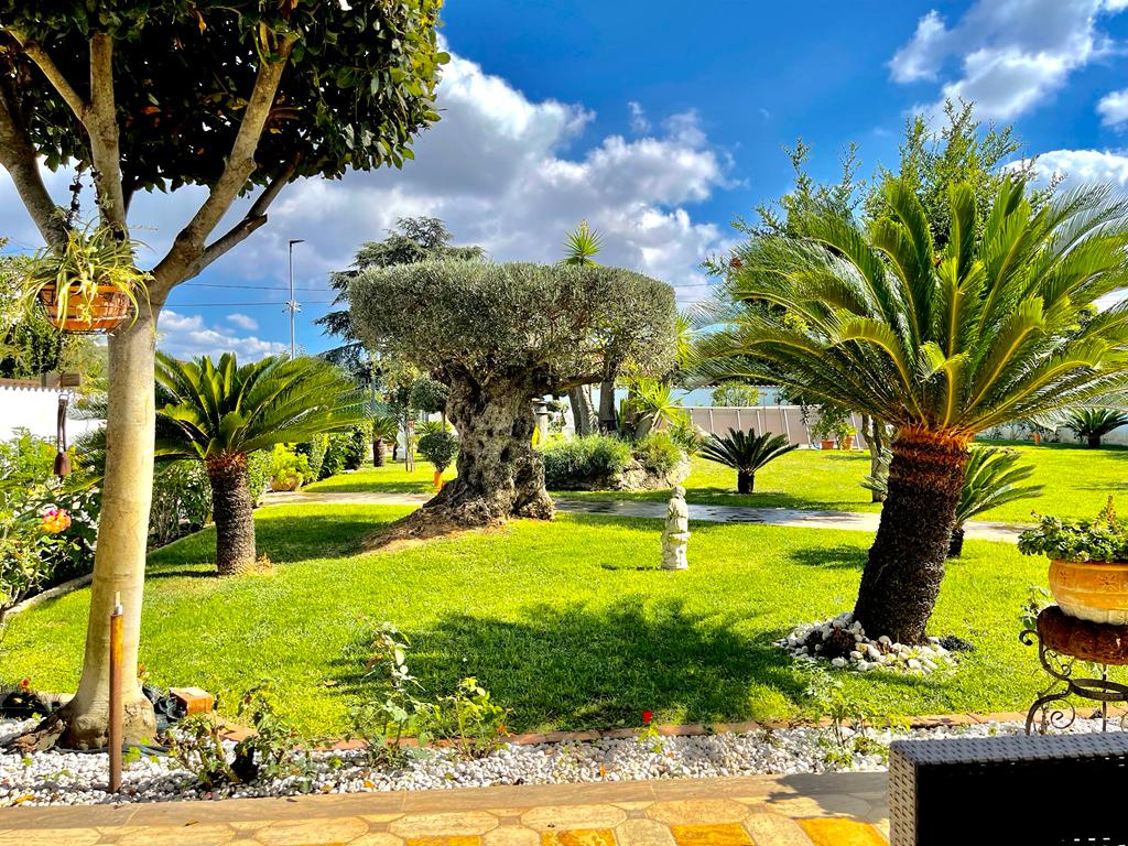 Il giardino di Anzio